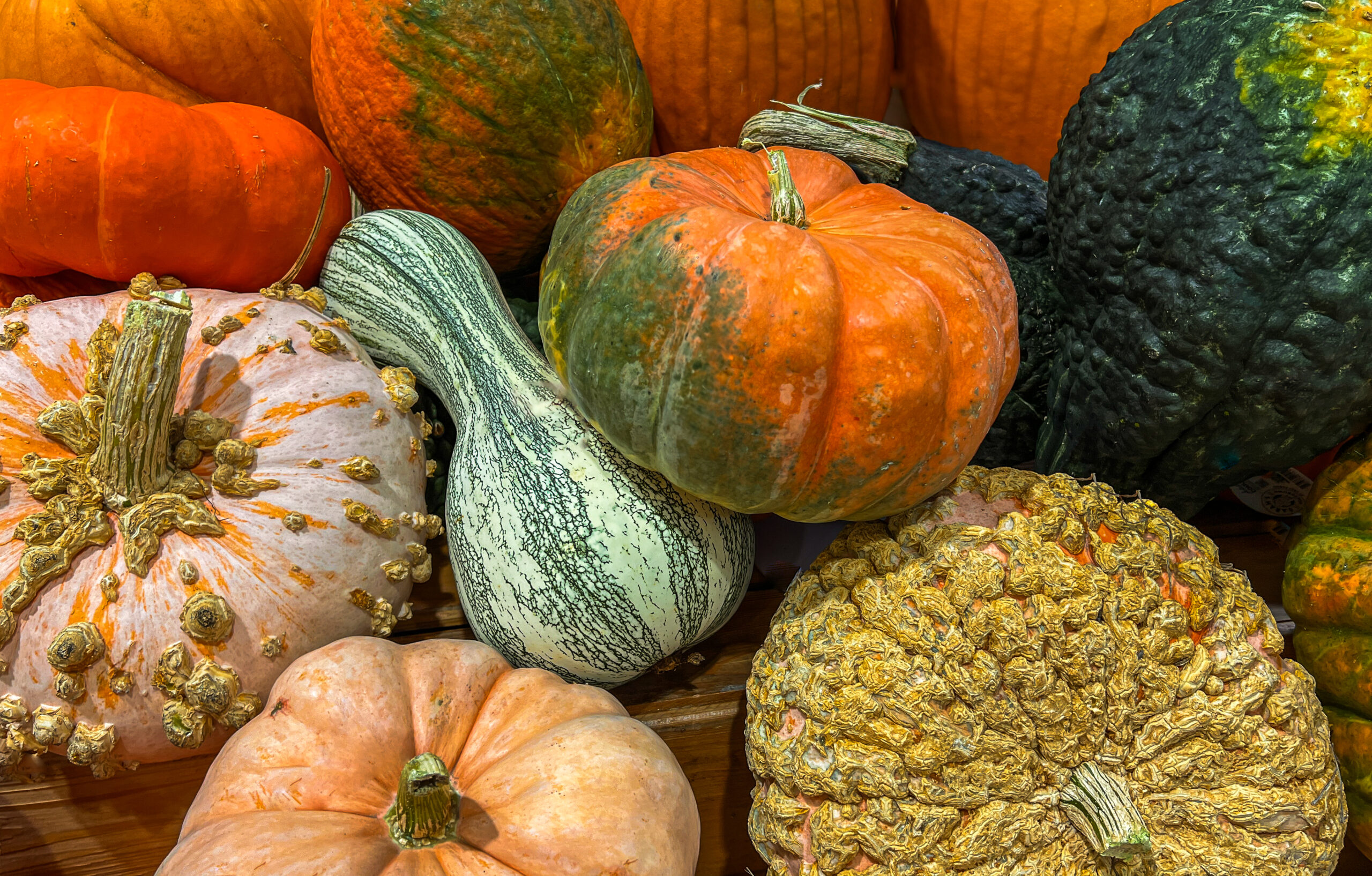 You are currently viewing Colorful Pumpkins