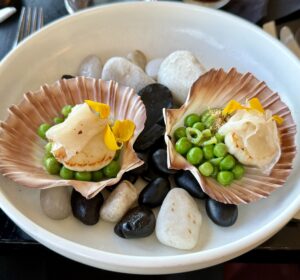 Read more about the article Dinner in Australia