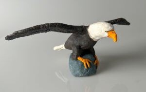 Read more about the article American Eagle