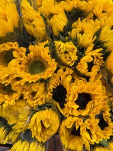Read more about the article The Beauty of Flowers