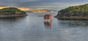 Read more about the article Tranquil Sail