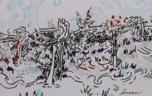 Read more about the article The Grape Arbor at Tujay’s Farm