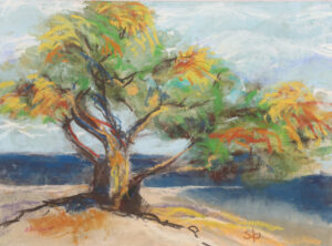 Read more about the article Causeway Tree
