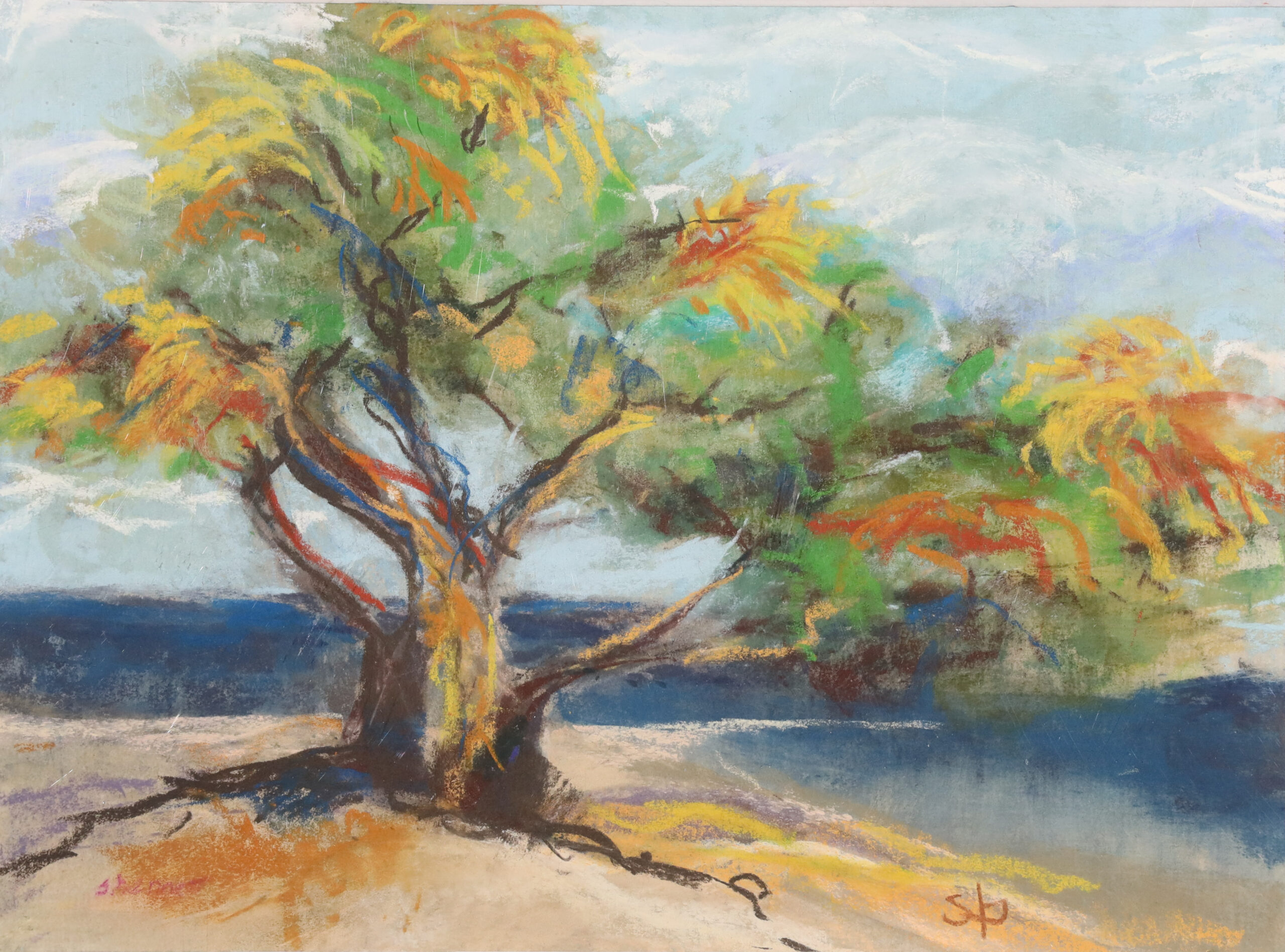 You are currently viewing Causeway Tree