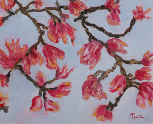 Read more about the article Pink Blossoms in Winter Park