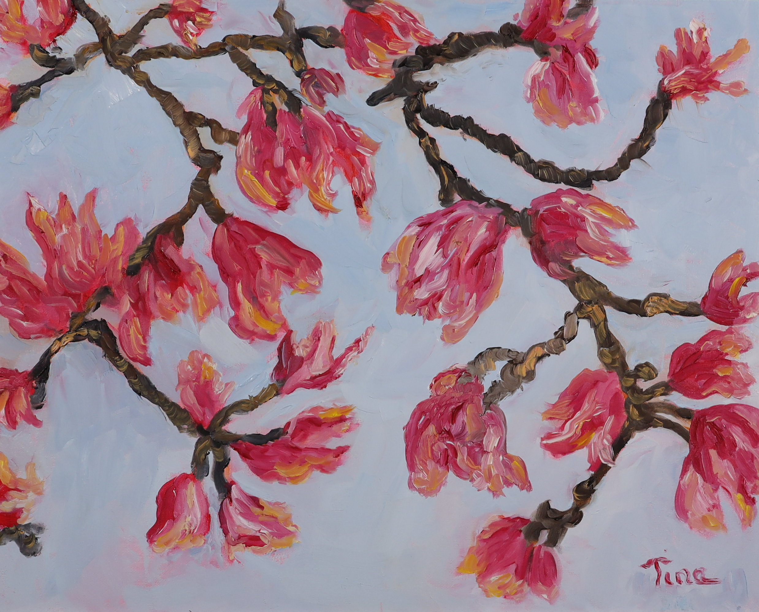 You are currently viewing Pink Blossoms in Winter Park
