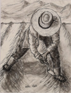 Read more about the article Immigrant Farm Worker