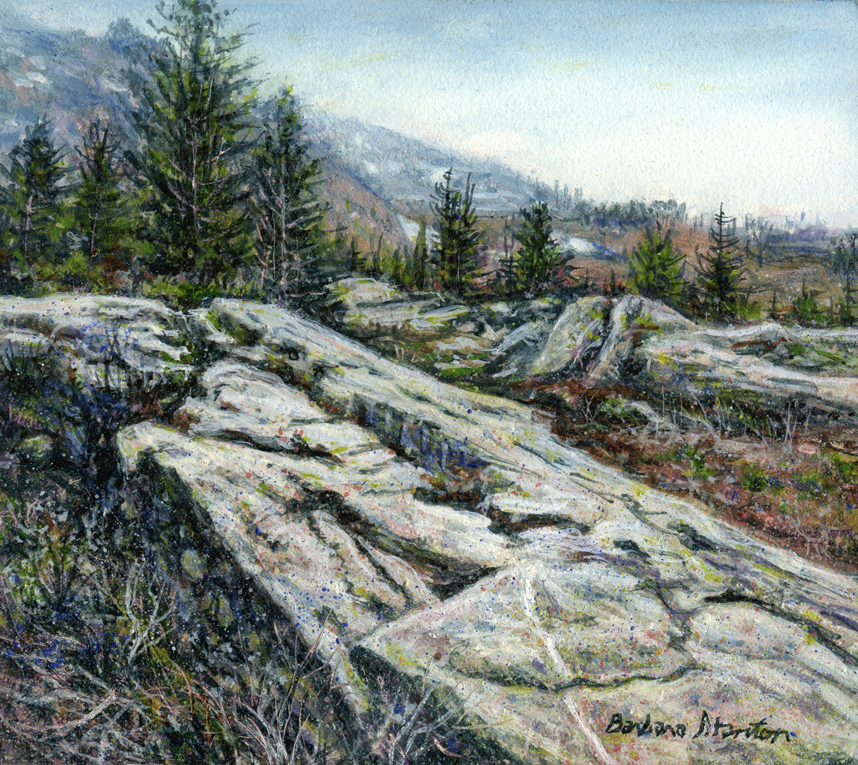 You are currently viewing Rugged Wilderness