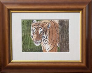 Read more about the article “MATA” AT ZOO TAMPA