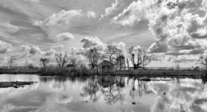 Read more about the article Fishing Hut on the Bayou