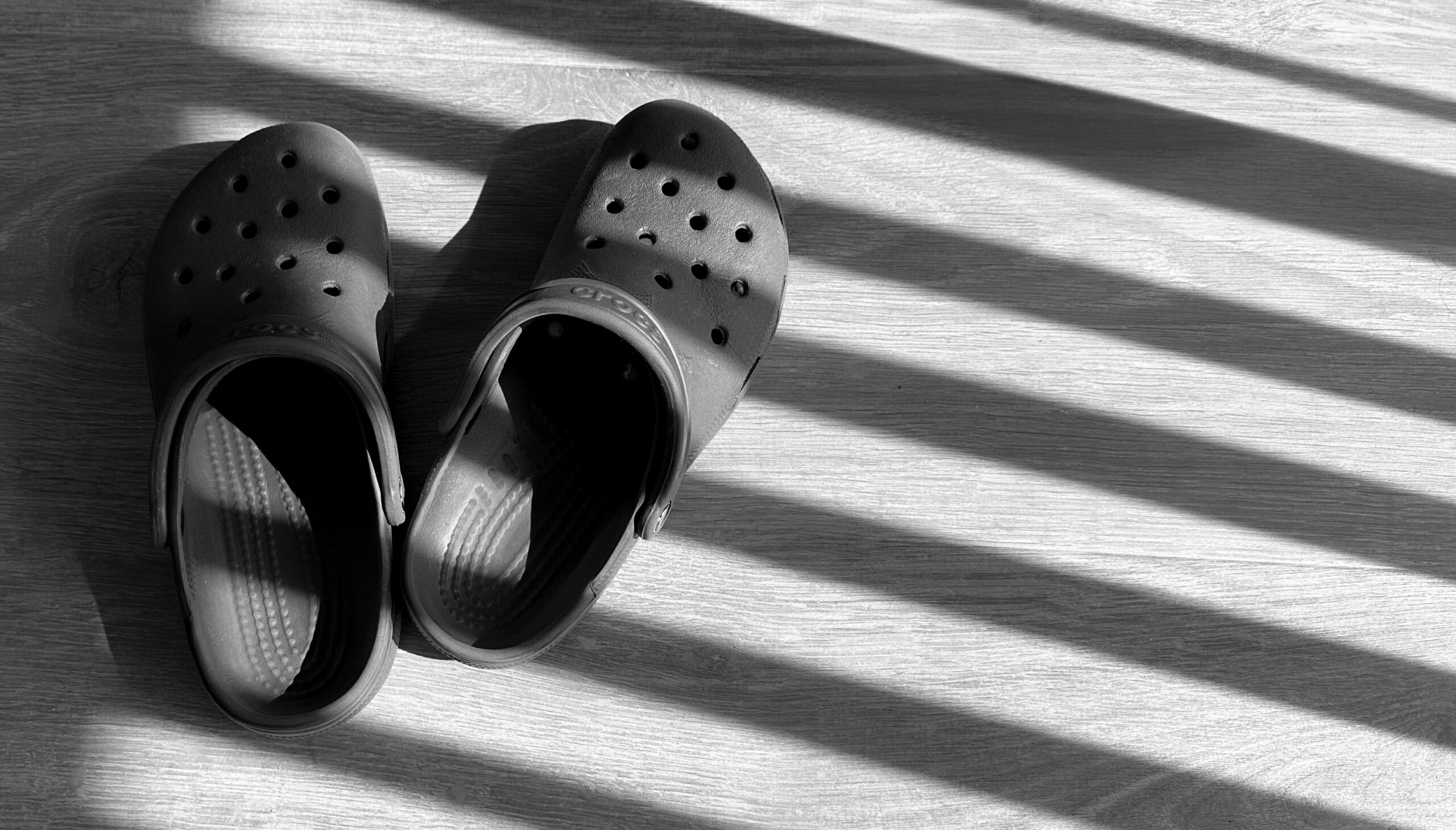 You are currently viewing Crocs Sunning Themselves