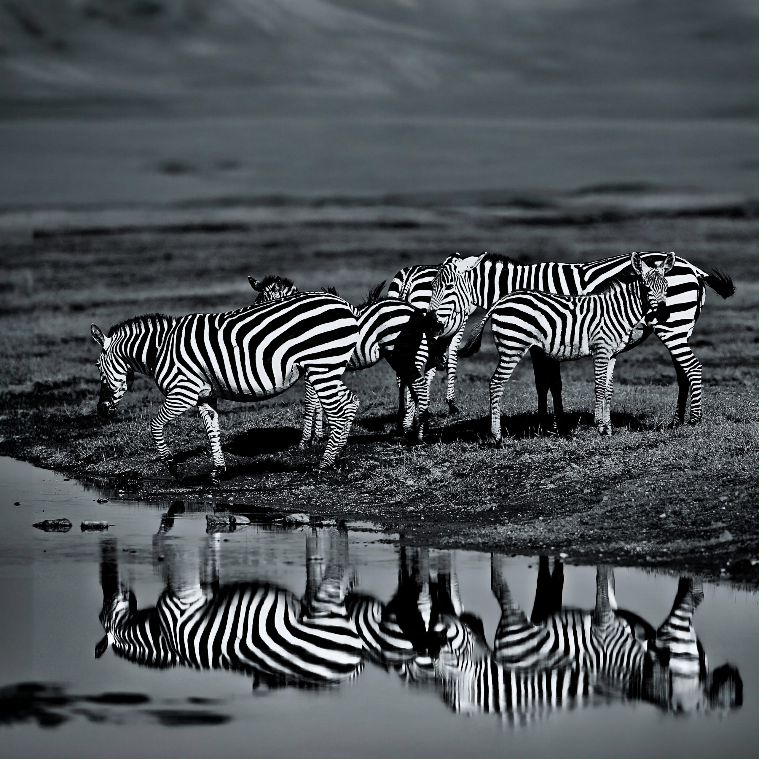 You are currently viewing Namibia Watering Hole