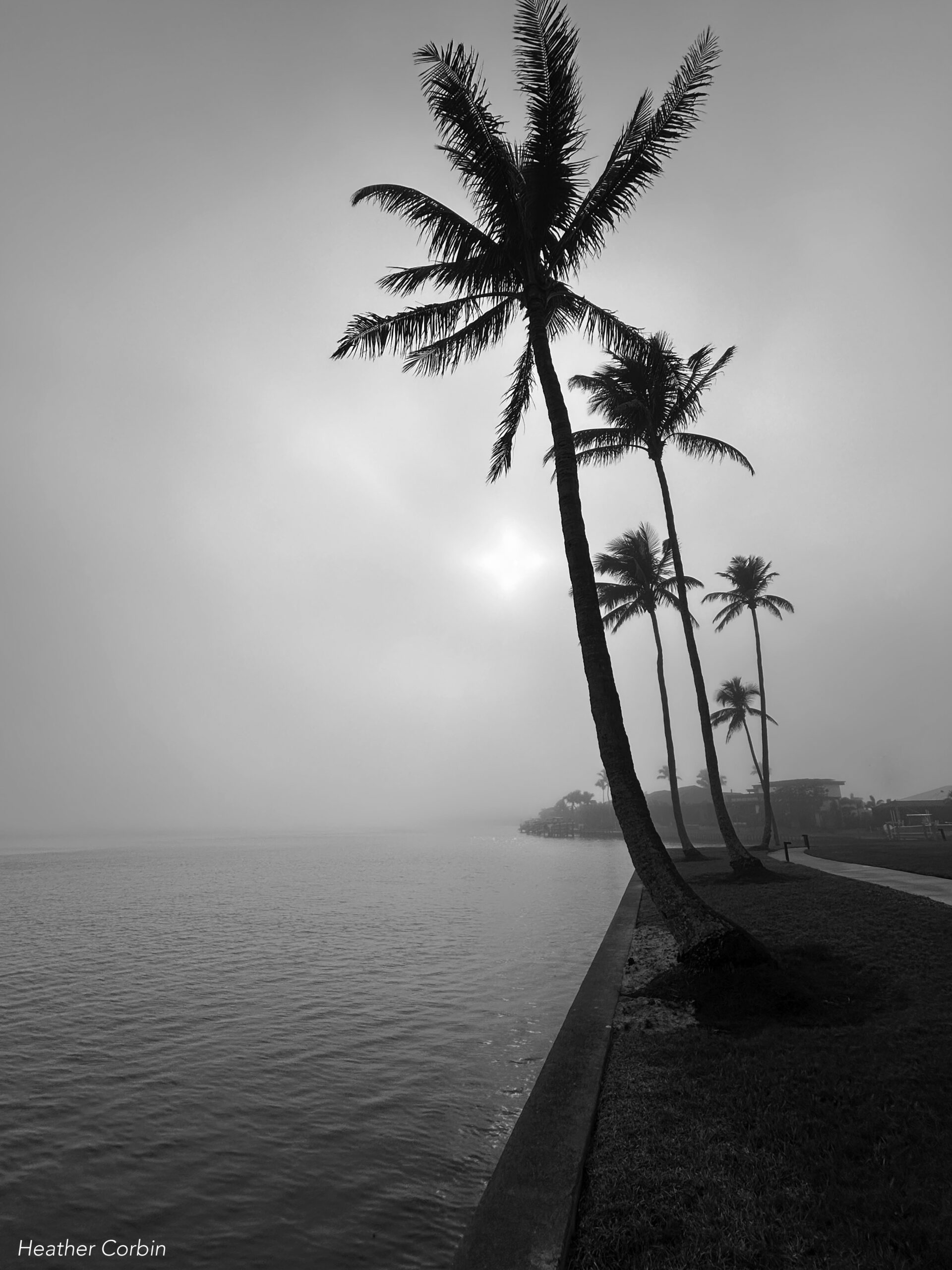 You are currently viewing Foggy Morning