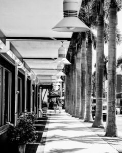 Read more about the article Downtown Fort Myers