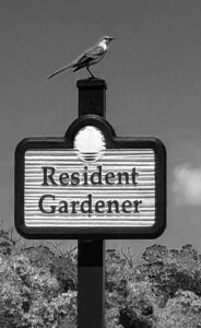 Read more about the article Resident Gardener