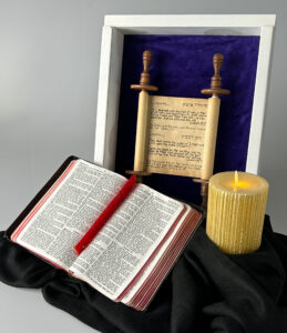 Read more about the article God’s Word: The Light