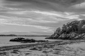 Read more about the article Boston Beachscape