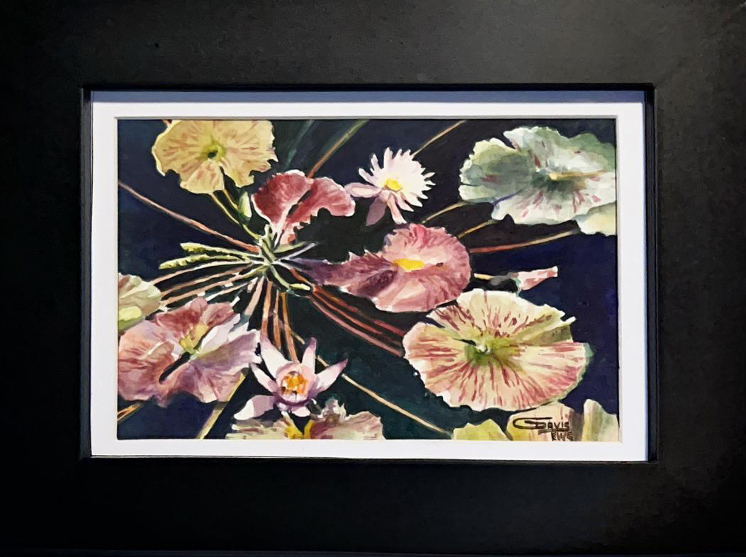 You are currently viewing Waterlilies