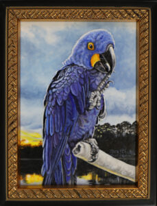 Read more about the article Hyacinth Macaw at Sunset