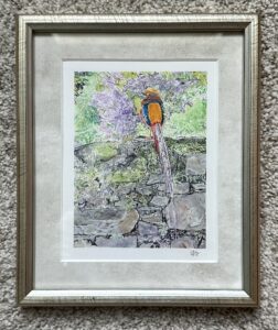 Read more about the article Scottish Pheasant