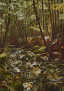 Read more about the article Forest Primeval