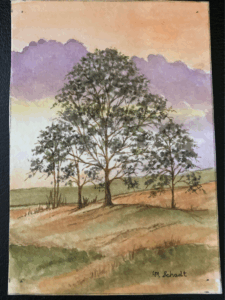 Read more about the article Golden Fields