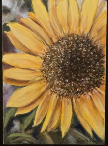 Read more about the article Sun flower Power