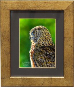 Read more about the article Eurasian Eagle Owl III
