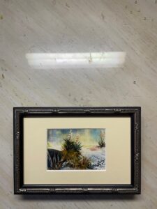Read more about the article Desert Beauty
