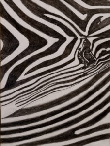 Read more about the article Focus is on Stripes