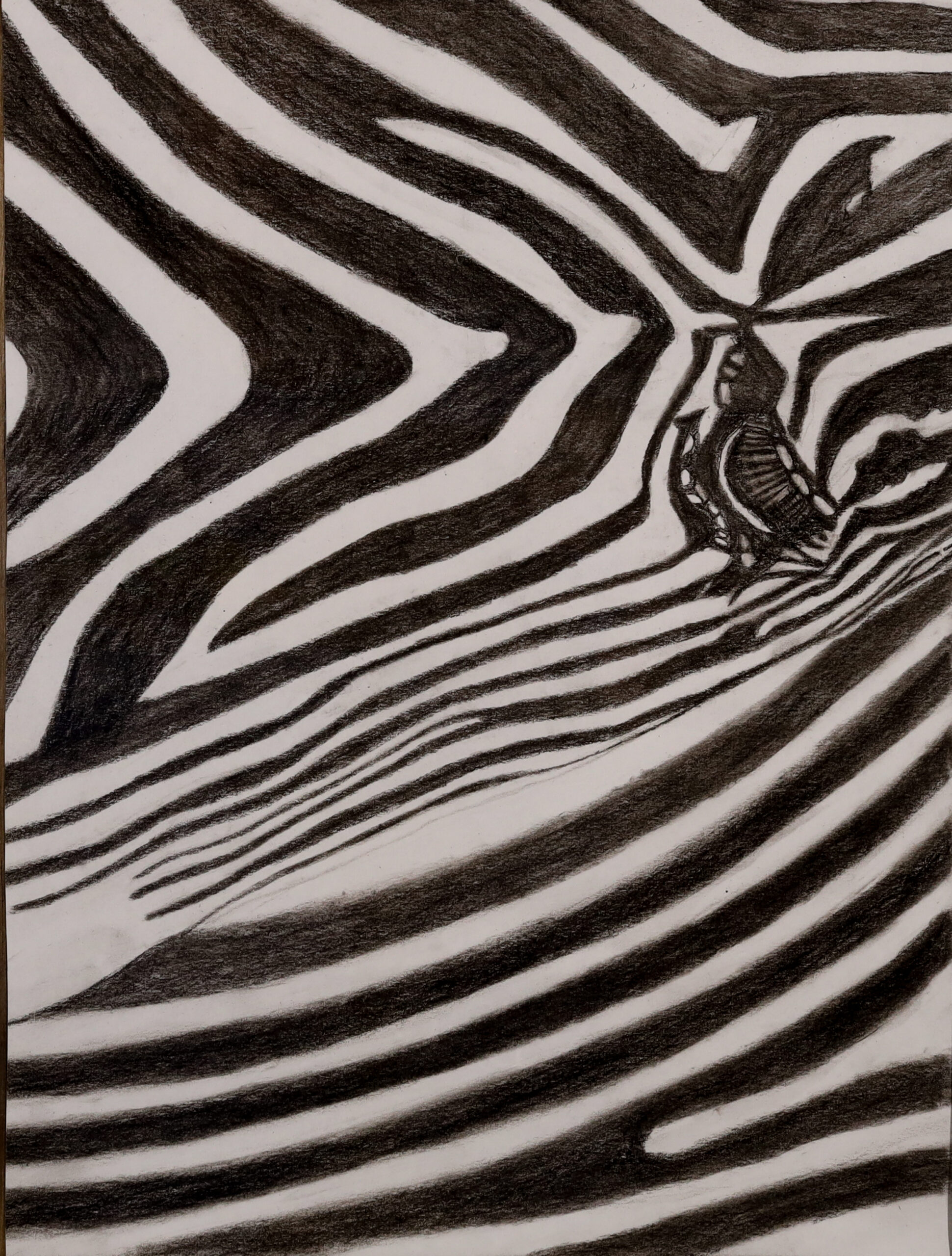 You are currently viewing Focus is on Stripes