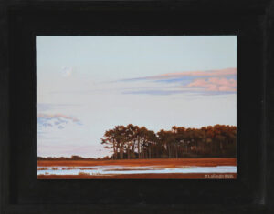 Read more about the article Assateague Autumn