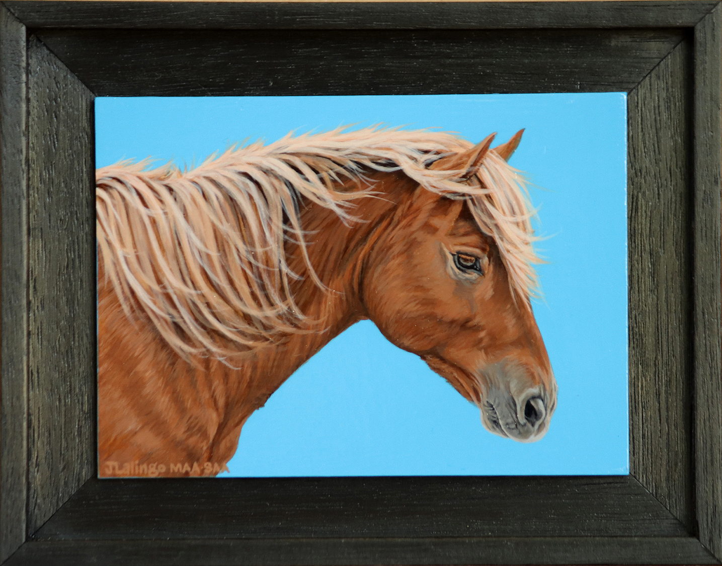 You are currently viewing Joy of Assateague