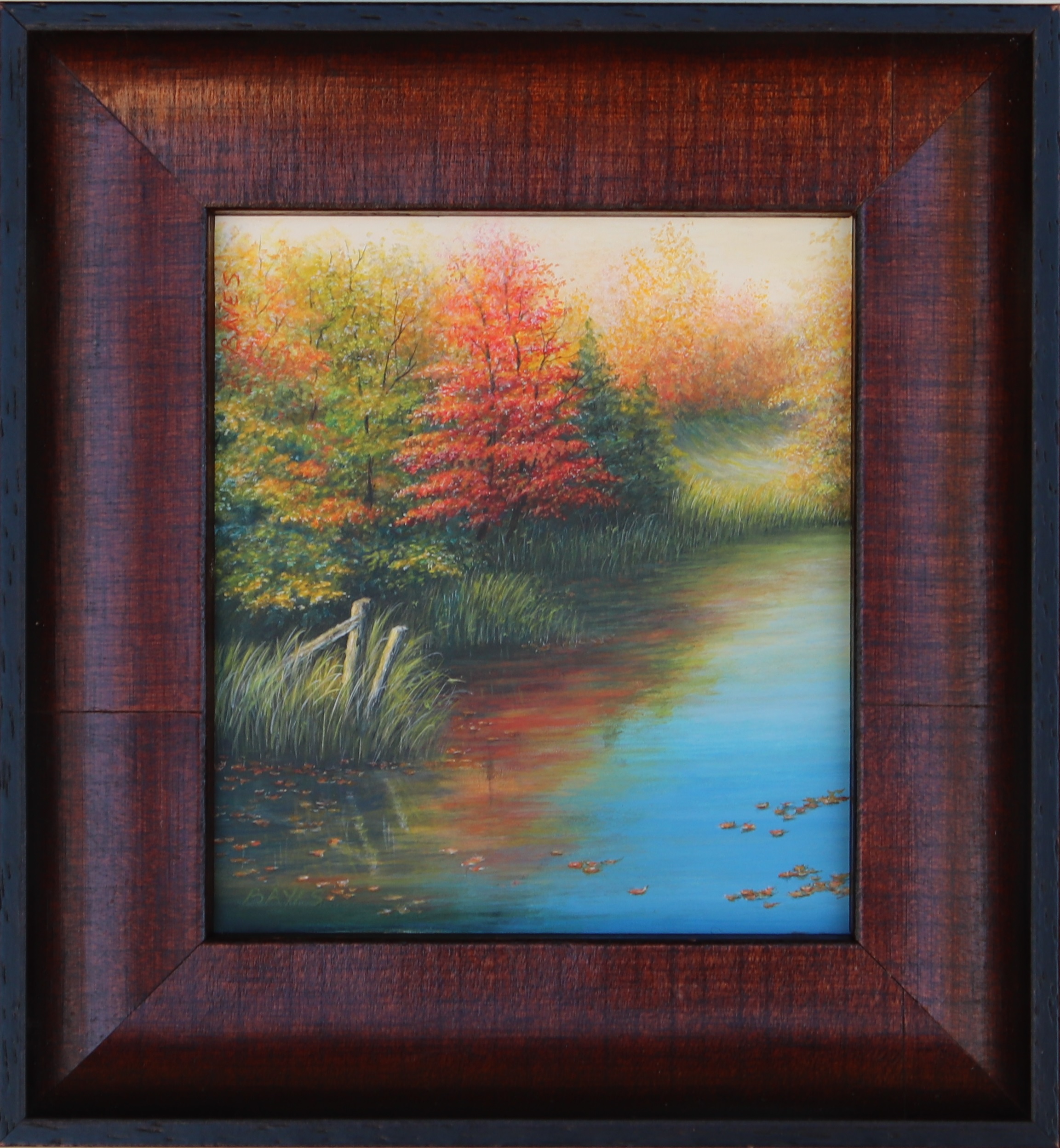 You are currently viewing Passing Reflections
