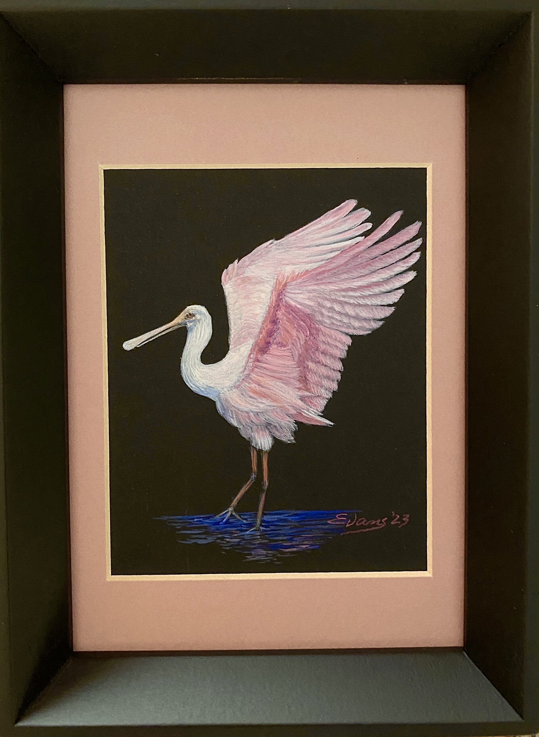 You are currently viewing ROSEATE SPOONBILL